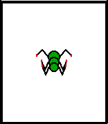 A multi-segmented arthromorph body