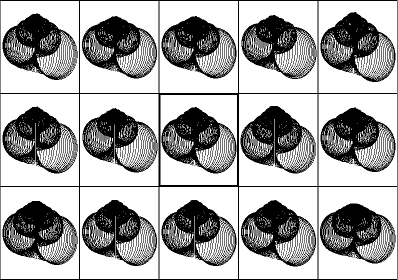 Conchomorphs Breeding Grid