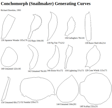 ConchomorphGeneratingCurvesDawkins1993