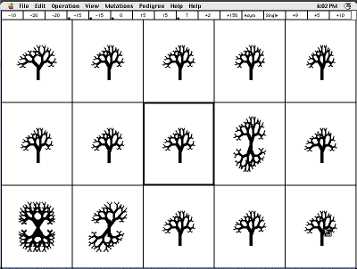 Monochrome Biomorph Breeding Grid