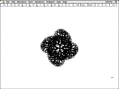 Colour Biomorphs Breeding Grid